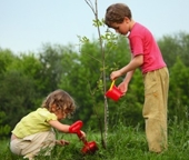 children caring for a tree